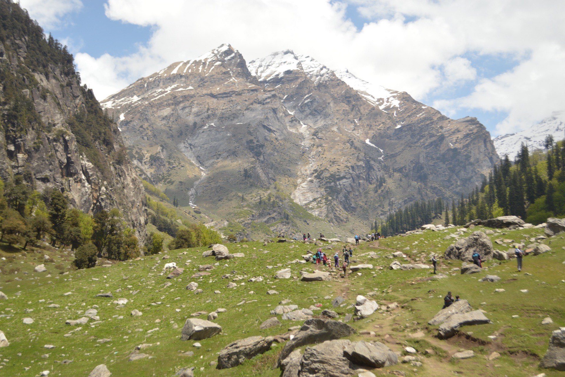 Trekkers on a grassy meadow trail below the snow-capped peaks near Hampta Pass
